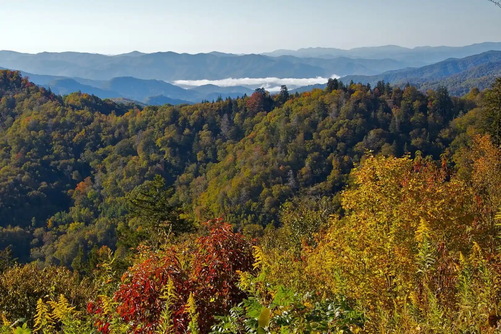 Fall color along Newfound Gap Road in the Great Smoky Mountains